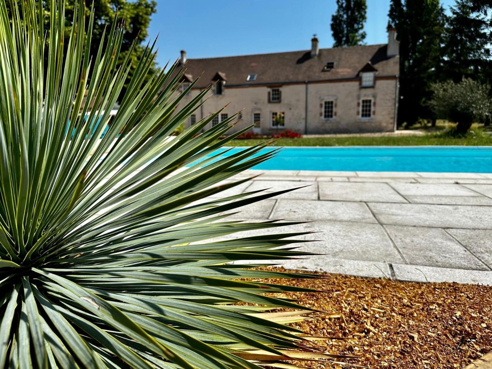 Saint-Laurent-Nouan Domaine De Couilleuse酒店 外观 照片