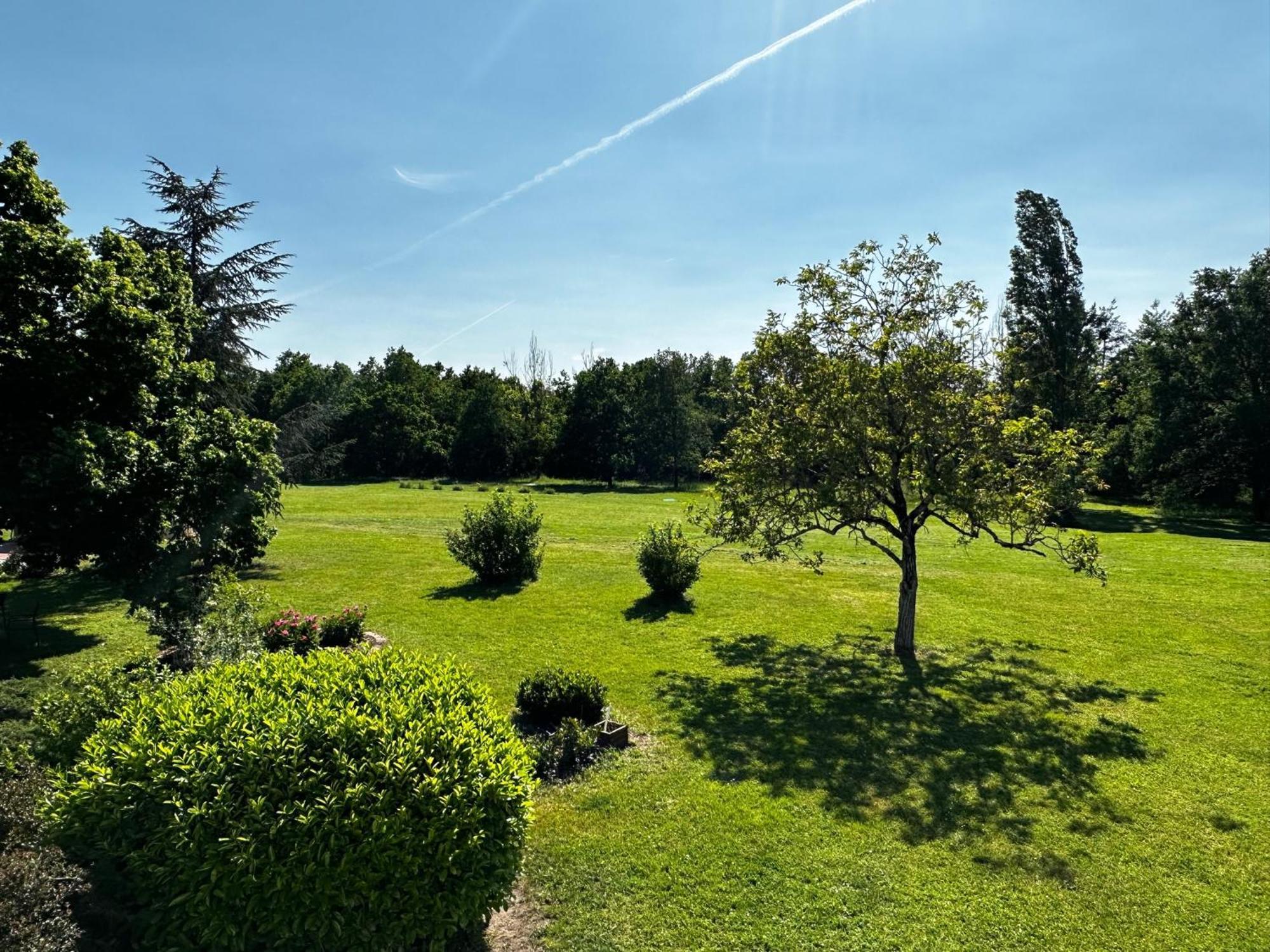 Saint-Laurent-Nouan Domaine De Couilleuse酒店 外观 照片
